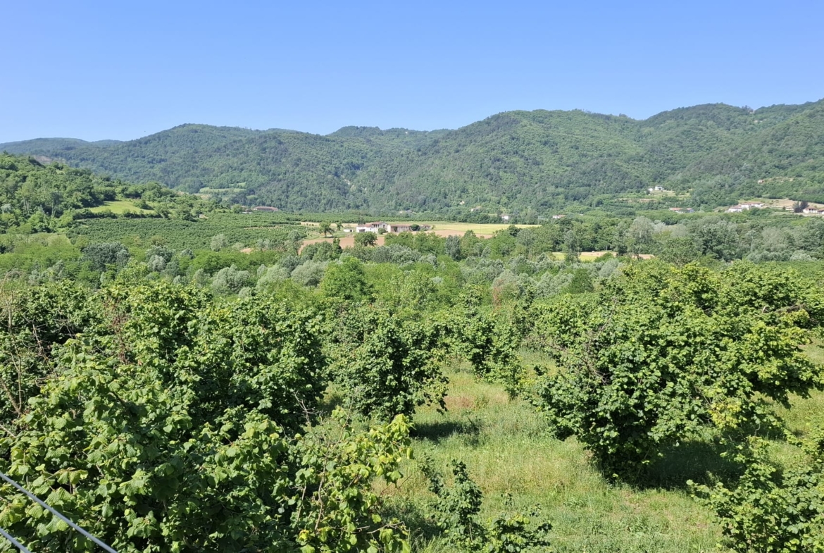 casa singola
