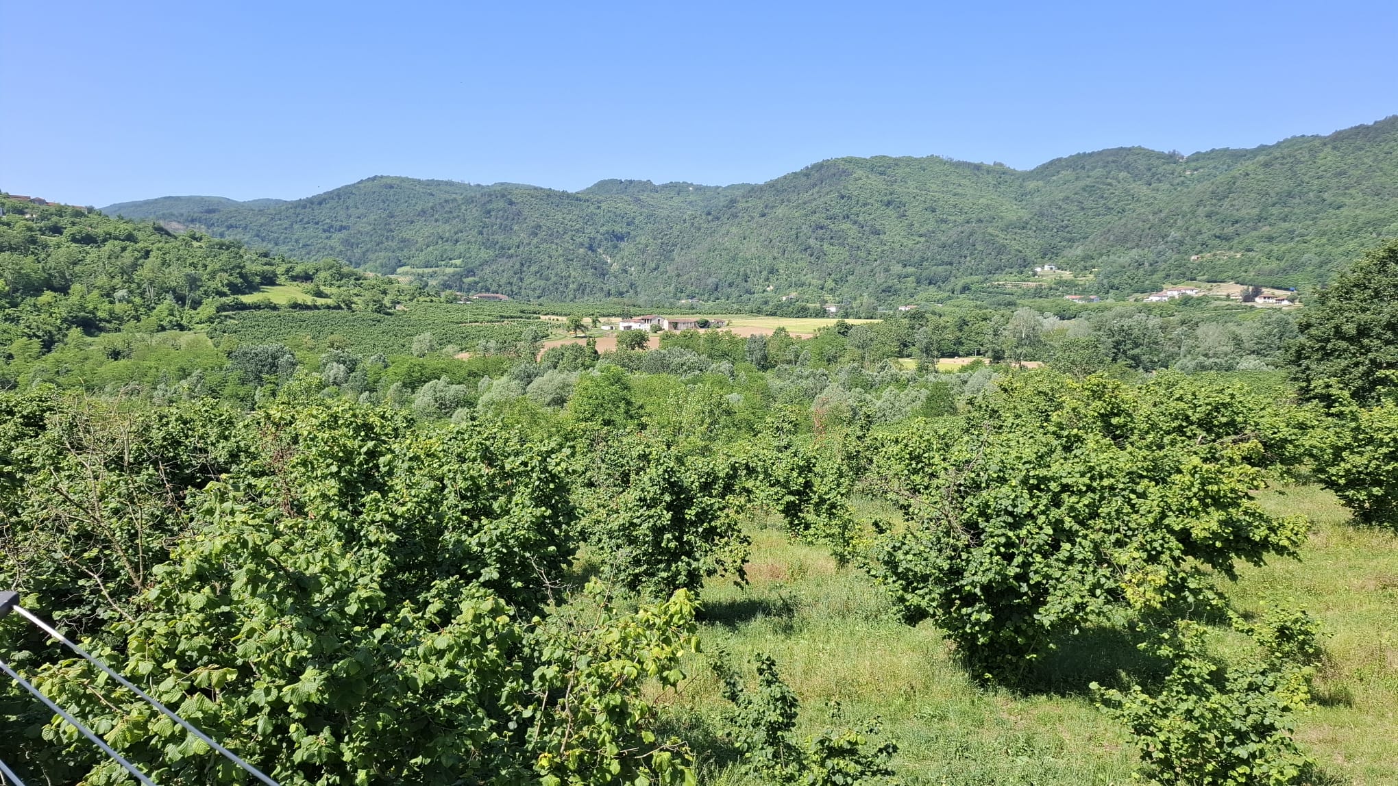 casa singola